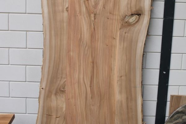 Boomstam iepen houten